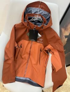 Fake Arc'teryx Beta AR 33ee455