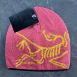 Pink Fake Arc'teryx Bird Head Toque