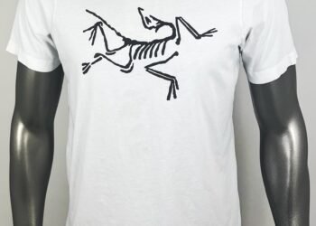 Arc'teryx Archaeopteryx T-shirt