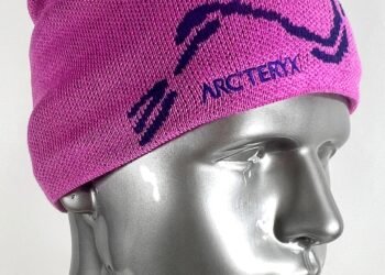 Arc'teryx Bird Head Toque