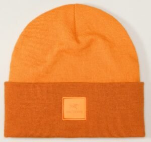 Arc'teryx-Color-Block-Toque