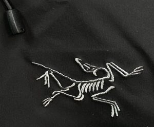 Fake Arc'teryx Beta SL Bird Logo