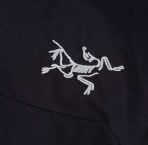 Fake Arc'teryx Beta LW logo