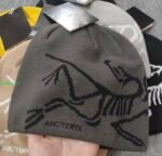 Fake Arc'teryx Bird Word Toque Gray 3