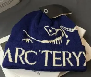 Fake Arc'teryx Bird Word Toque