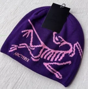 Fake Arc'teryx Bird Word Toque Purple