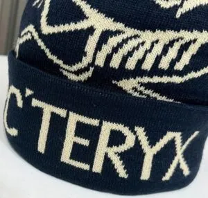 Fake Arc'teryx Bird Word Toque