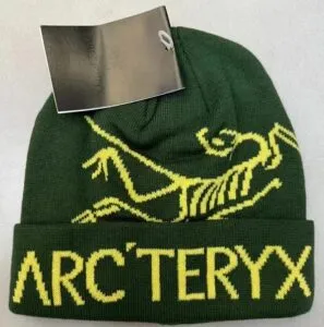 Fake Arc'teryx Bird Word Toque