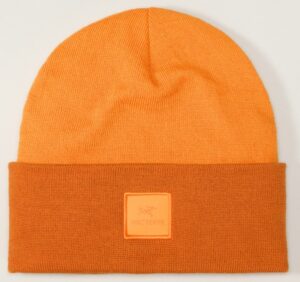 Arc'teryx-Color-Block-Toque