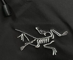 Fake Arc'teryx Beta SL Bird Logo