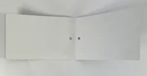 Fake Arc'teryx Bird Head Toque hang tag 3