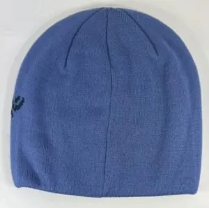 Fake Arc'teryx Bird Head Toque Blue Back