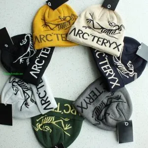 Fake Arc'teryx Bird Word group