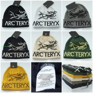Fake Arc'teryx Bird Word group 33