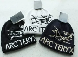 Fake Arc'teryx Bird Word group 3