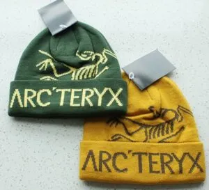 Fake Arc'teryx Bird Word group 334